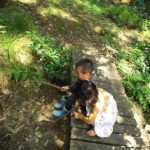 丹波篠山市でもオープンガーデン